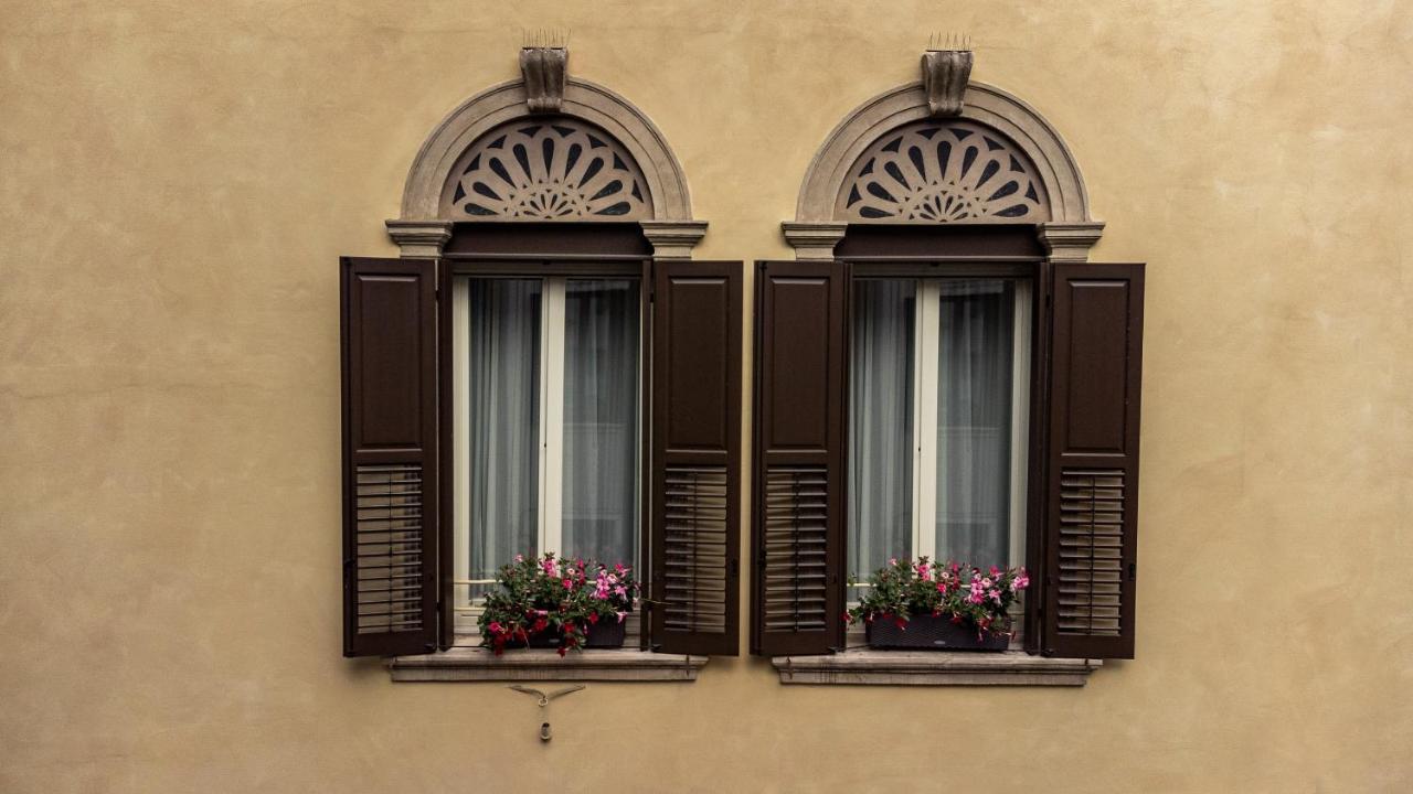 Butterfly Verona — Foto 3