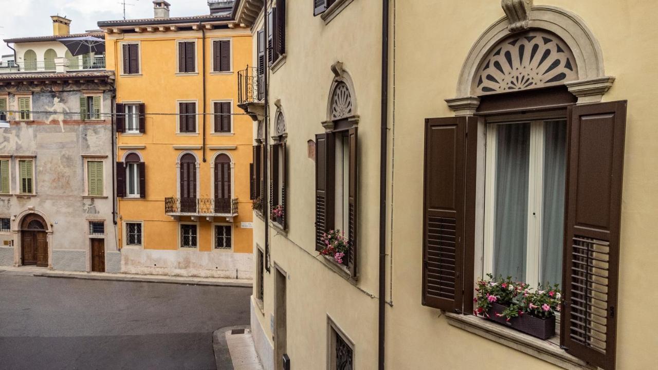 Butterfly Verona — Foto 2